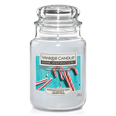 Yankee Large Jar Candy Cane F 538G