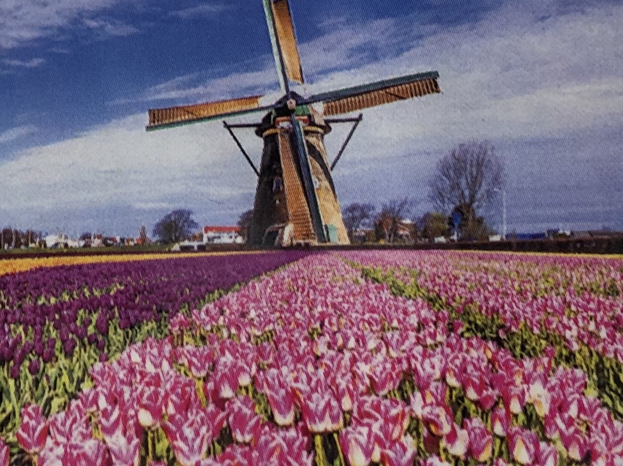 Diamond Painting Molen En Tulpen J0499 30 Cm X 40 Cm